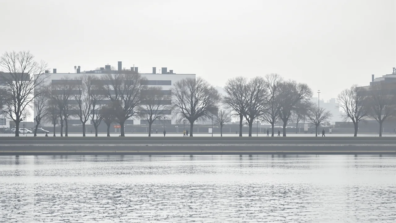 Ein breiter Uferweg an einem deutschen Fluss an einem grauen Morgen, kahle Linden vor den oberen Geschossen von Bürobauten, davor still liegendes Wasser
