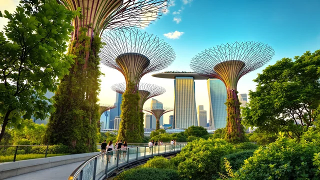Stilles Wasser vor Singapur im Goldlicht von einem grünen Ufer aus, warme tiefe Sonne auf der Fläche, weit draußen seitlich ankernde Schiffe als kleine Silhouetten, vorn dichtes tropisches Grün